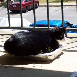 Meet your Posher, Patrick